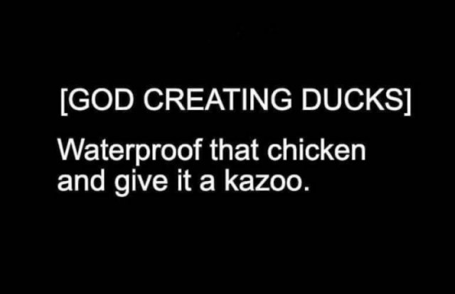 darkness - God Creating Ducks Waterproof that chicken and give it a kazoo.