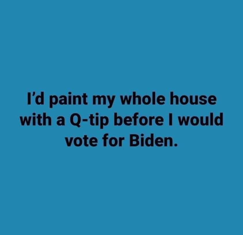 sky - I'd paint my whole house with a Qtip before I would vote for Biden.