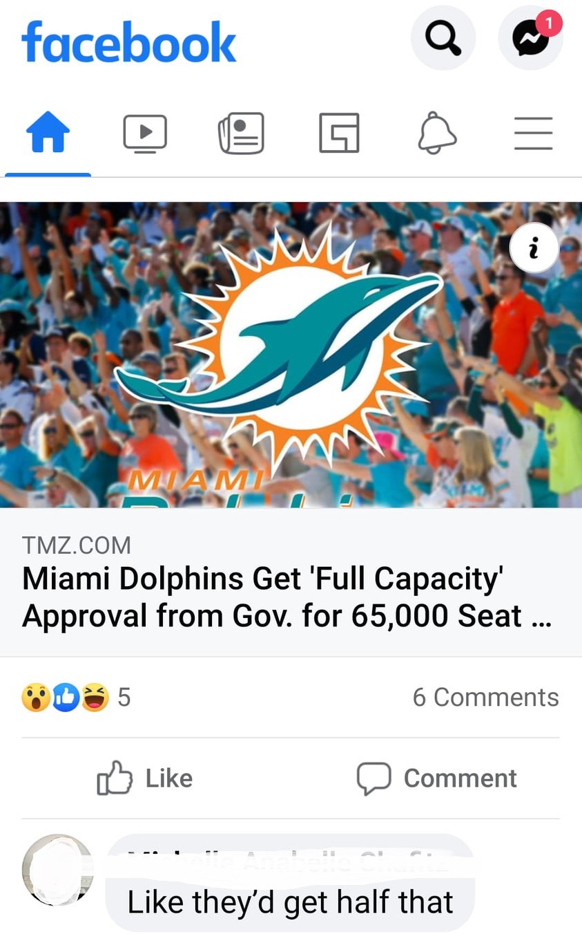 funny pic - Miami Dolphins Get 'Full Capacity' Approval from Gov. for 65,000 Seat ... - like they'd get half that