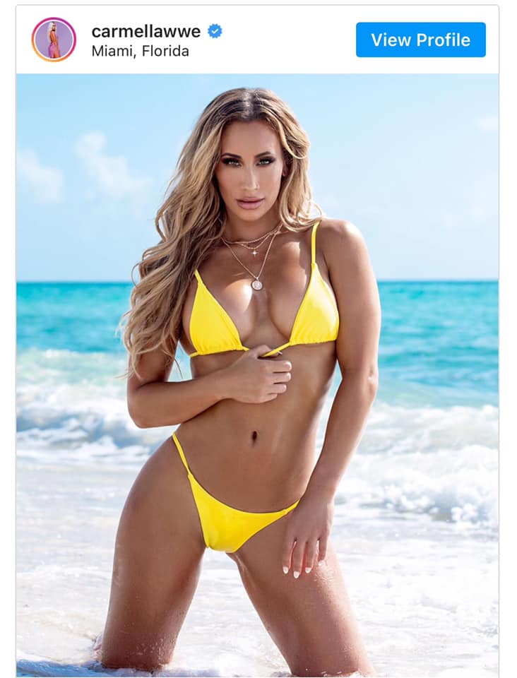 bikini - carmellawwe Miami, Florida View Profile