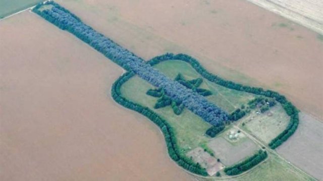 guitar shaped forest