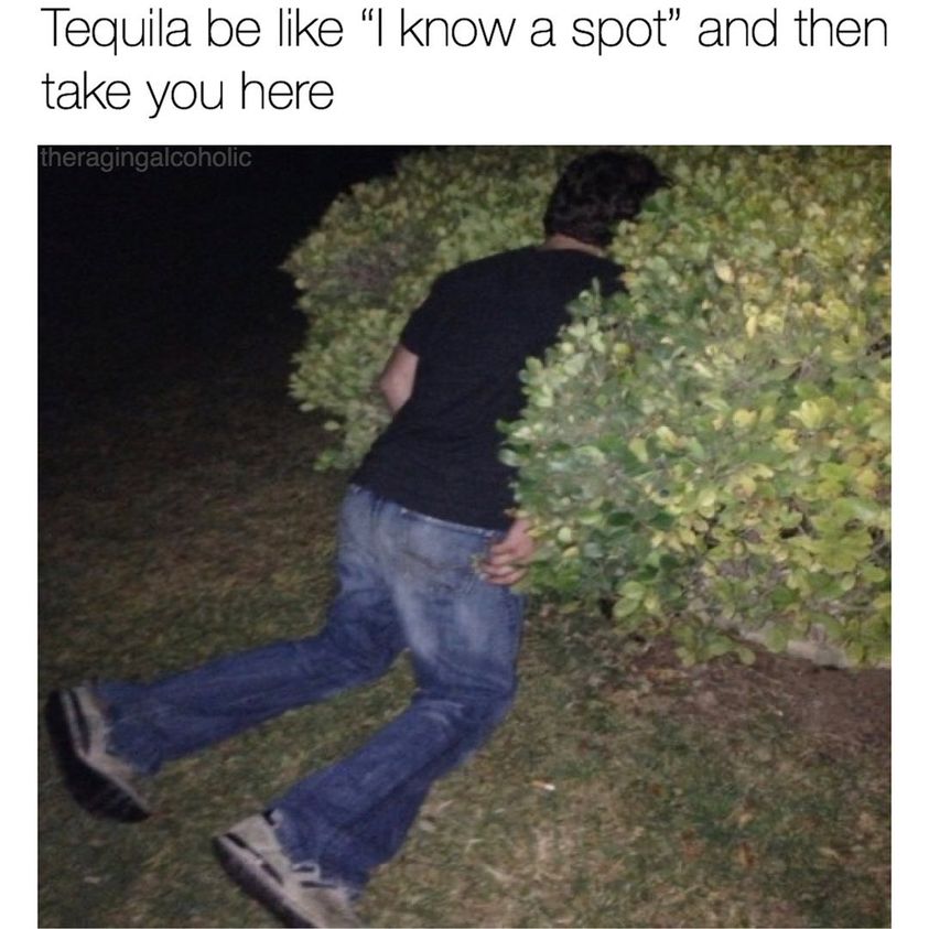 tequila i know a place meme - Tequila be "I know a spot" and then take you here theragingalcoholic