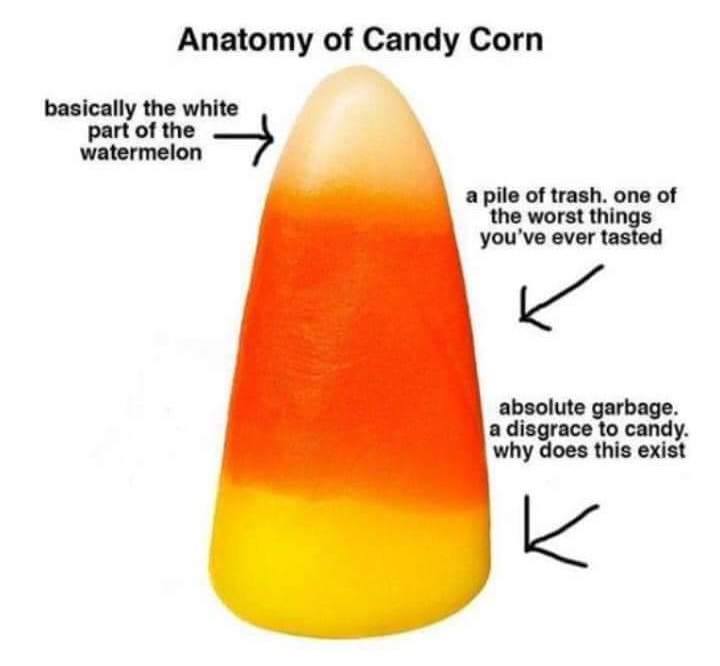 candy corn meme funny - Anatomy of Candy Corn basically the white part of the watermelon a pile of trash, one of the worst things you've ever tasted K absolute garbage. a disgrace to candy. why does this exist K