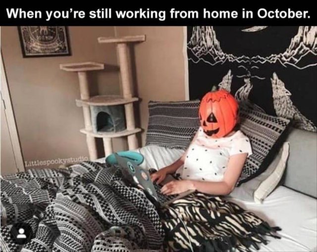 design - When you're still working from home in October. Littlespookystudio