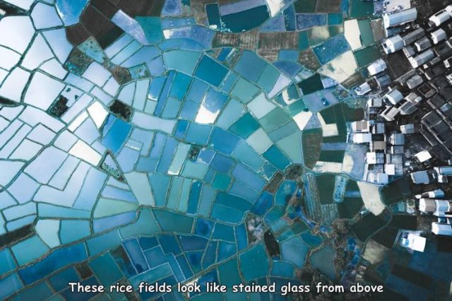 Photography - These rice fields look stained glass from above