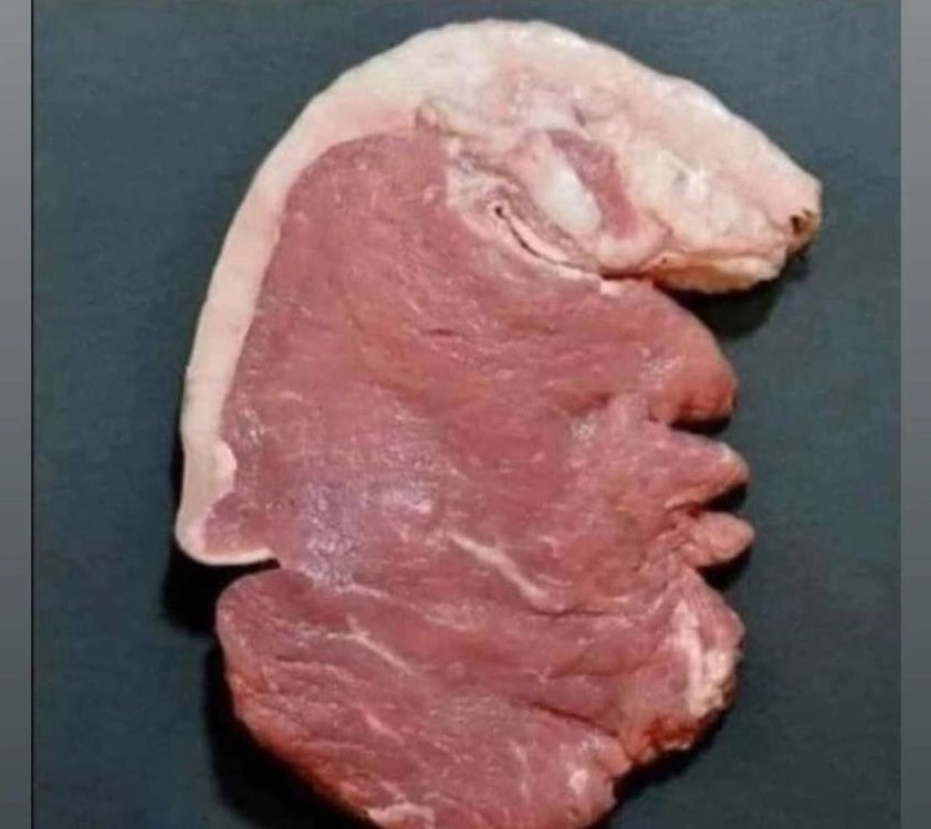 donald trump meat