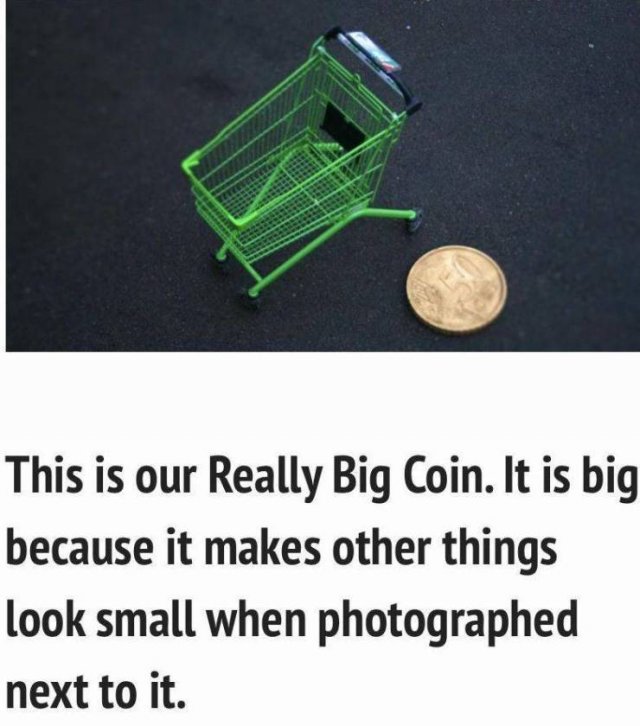 real - This is our Really Big Coin. It is big because it makes other things look small when photographed next to it.