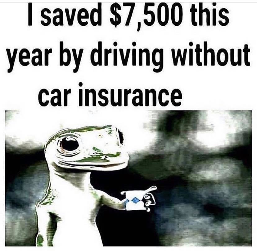 photo caption - I saved $7,500 this year by driving without car insurance