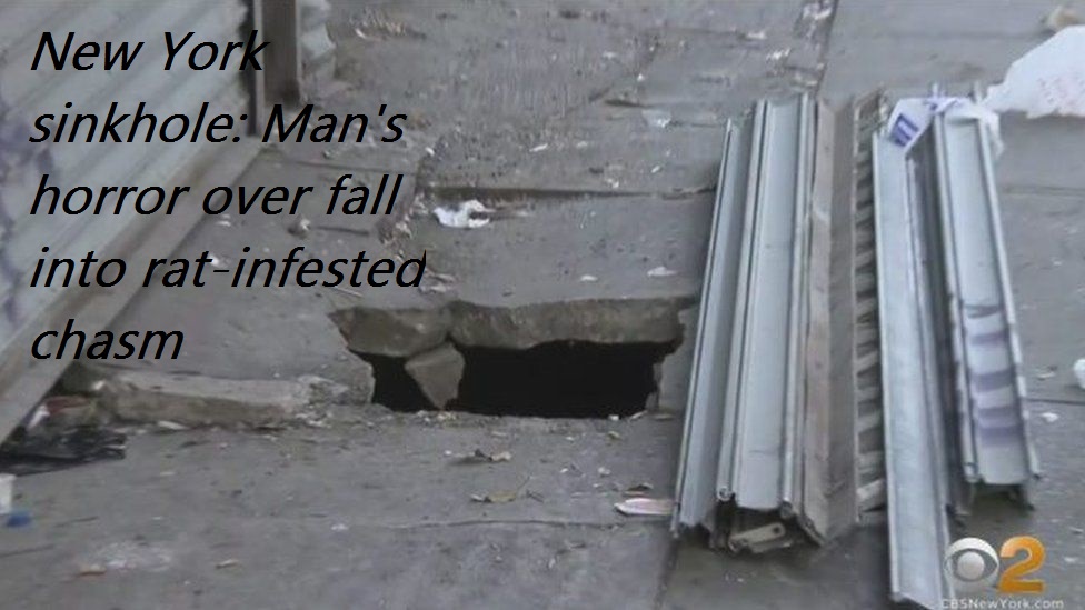 The Bronx - New York sinkhole Man's horror over fall into ratinfested chasm BSNew York.com
