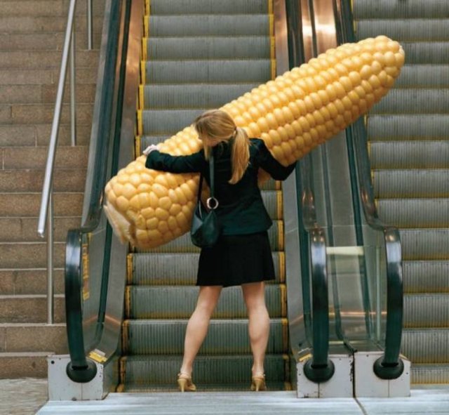 big corn escalator