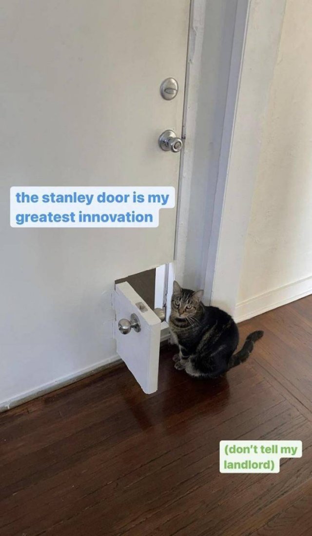 floor - the stanley door is my greatest innovation don't tell my landlord
