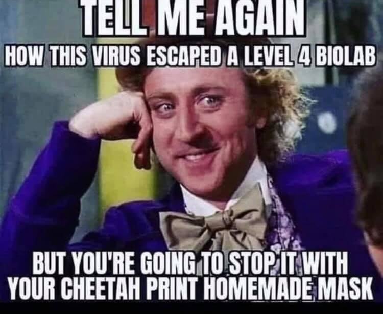 summer reading memes - Tell Me Again How This Virus Escaped A Level 4 Biolab But You'Re Going To Stop. It With Your Cheetah Print Homemade Mask