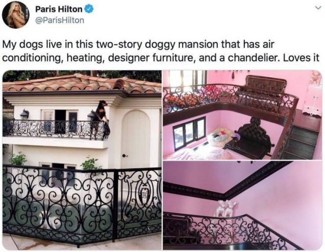 paris hilton dog house - Paris Hilton Hilton My dogs live in this twostory doggy mansion that has air conditioning, heating, designer furniture, and a chandelier. Loves it ook