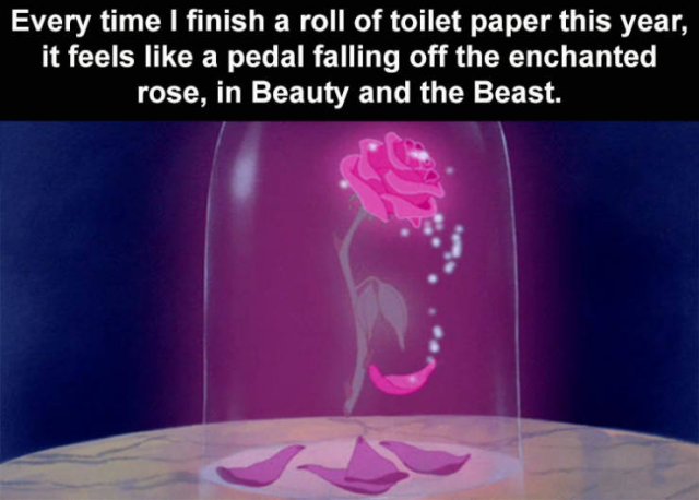 Every time I finish a roll of toilet paper this year, it feels a pedal falling off the enchanted rose, in Beauty and the Beast.