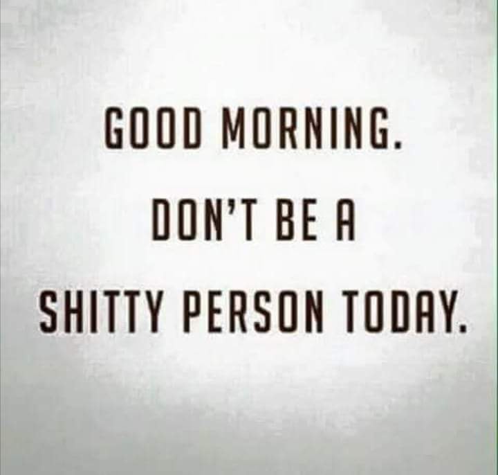 funny good morning quotes - Good Morning. Don'T Be A Shitty Person Today.