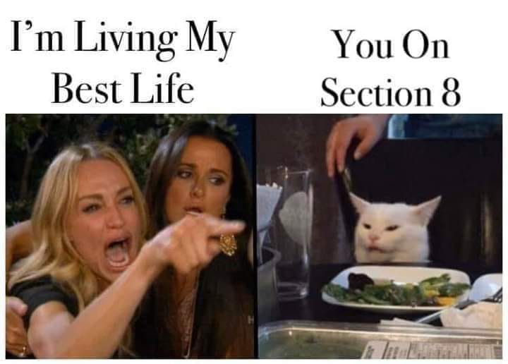 trauma memes - I'm Living My Best Life You On Section 8