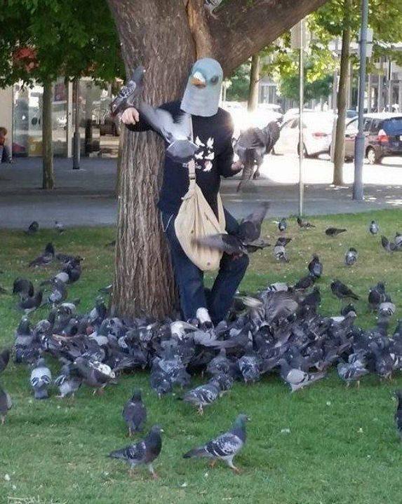pigeon lord