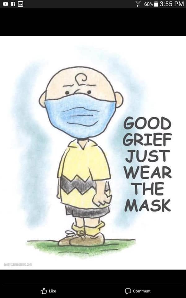 charlie brown good grief just wear the mask - 68% Good Grief Just Wear The Mask 1 Scoitos.com Comment