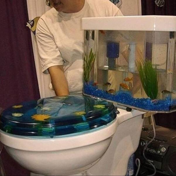 ridiculous toilets