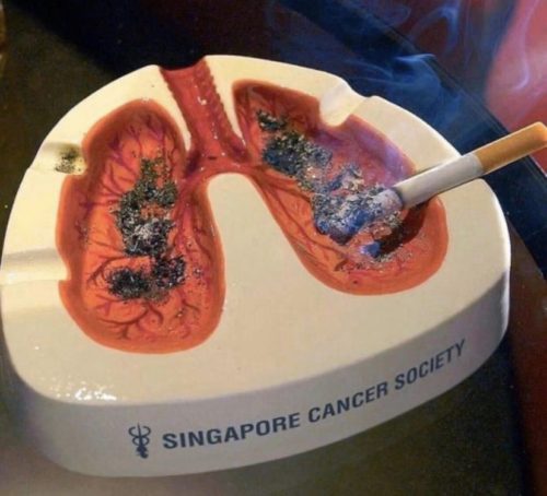 lungs ashtray - Singapore Cancer Society