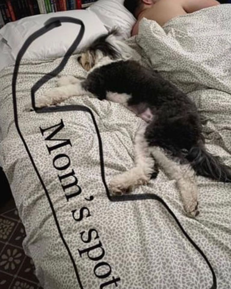 dog - Mom's spot