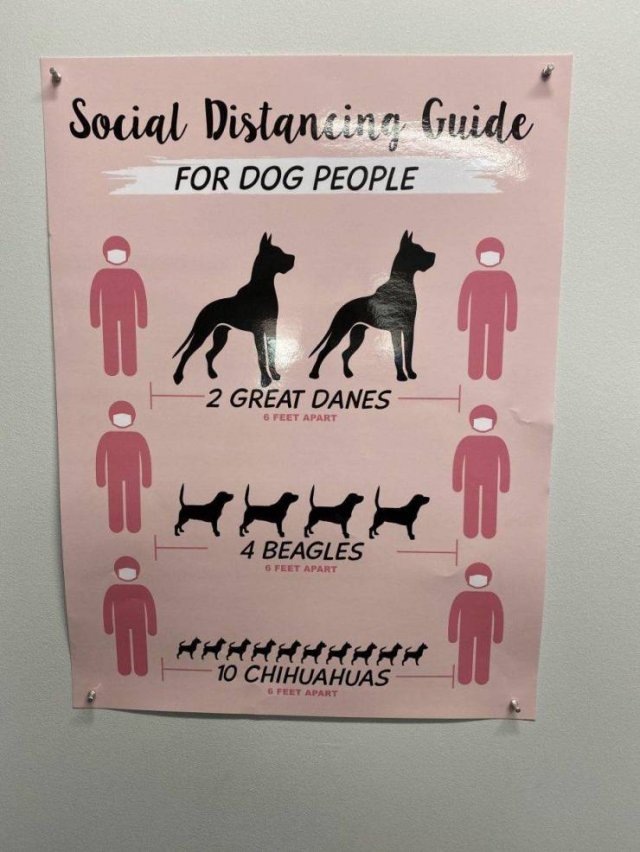 dog - Social Distancing Guide For Dog People GoGo 2 Great Danes 8 Feet Apart Gcc 4 Beagles 5 Feet Apart 10 Chihuahuas O Feet Apart