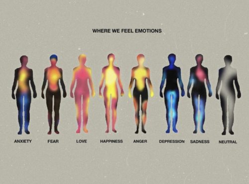 human - Where We Feel Emotions Anxiety Fear Love Happiness Anger Depression Sadness Neutral