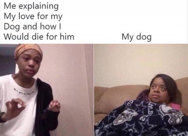 crying girl explaining meme template - Me explaining My love for my Dog and how i Would die for him My dog Imbi