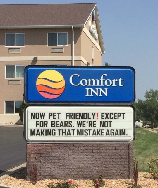 funny 2020 sign - I Comfort Inn Now Pet Friendly! Except For Bears. We'Re Not Making That Mistake Again.