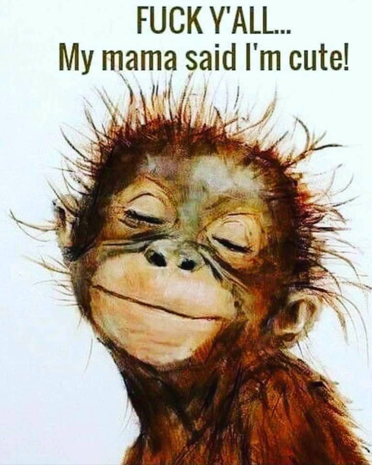 orangutan print - Fuck Y'All... My mama said I'm cute!