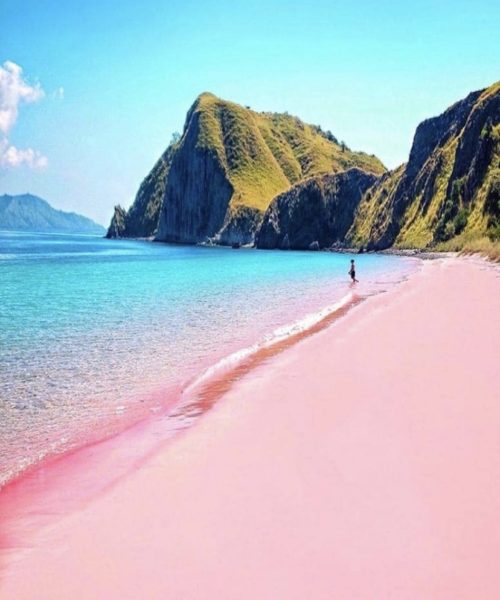 pink beach indonesia