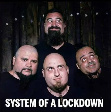 beard - System Of A Lockdown
