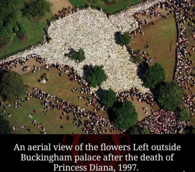 kensington palace princess diana death - An aerial view of the flowers Left outside Buckingham palace after the death of Princess Diana, 1997.