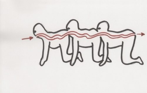 human centiped - D96 1912