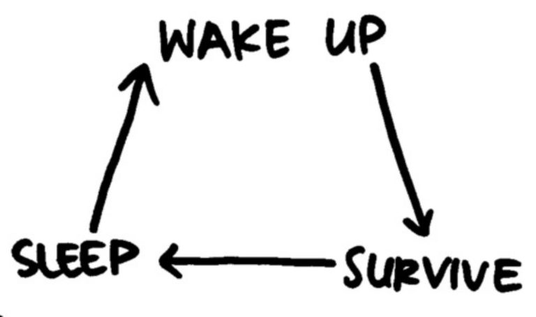 survival mode - Wake Up Sleepf Survive