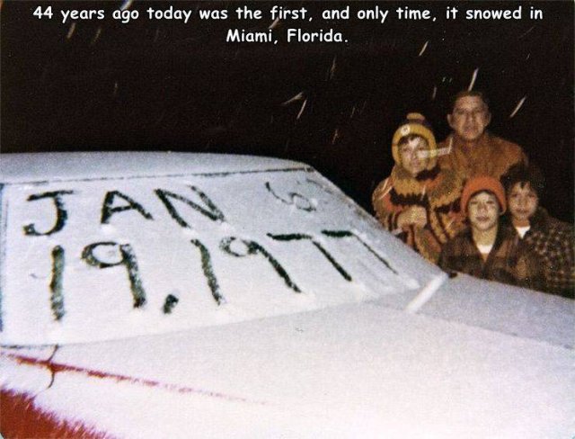 snow in florida 1977 - 44 years ago today was the first, and only time, it snowed in Miami, Florida. Jan 19,197