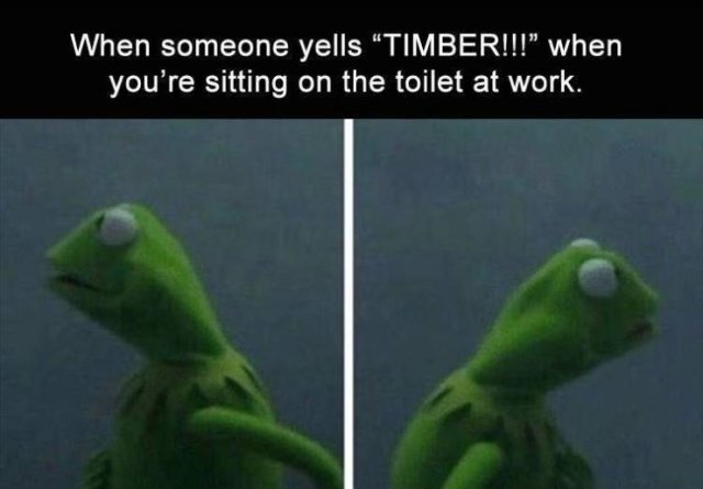 kermit math memes - When someone yells Timber!!!" when you're sitting on the toilet at work.
