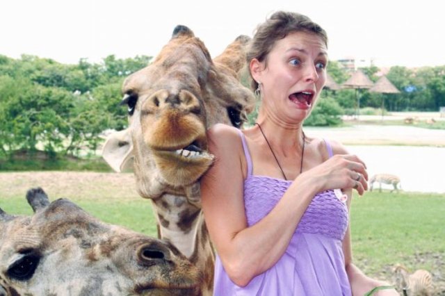 girl and giraffe
