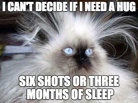 meme i need coffee - I Cant Decide If I Need A Hug Six Shots Or Three Months Of Sleep
