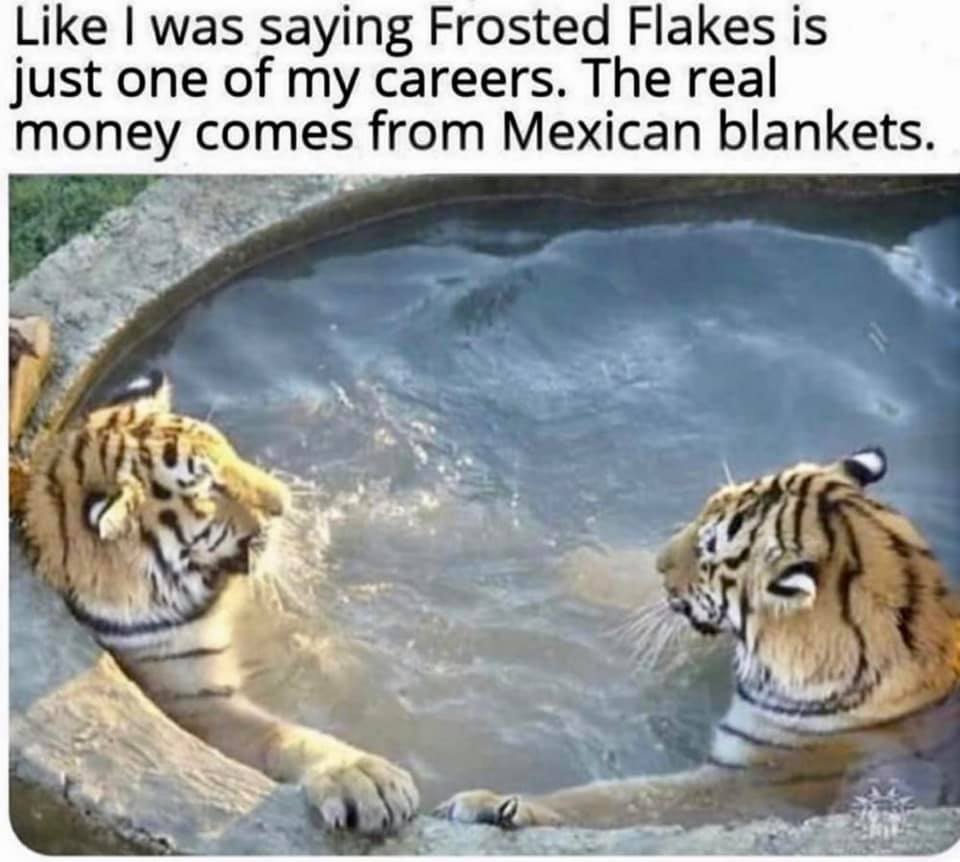 funny pictures - Like I was saying Frosted Flakes is just one of my careers. The real money comes from Mexican blankets.