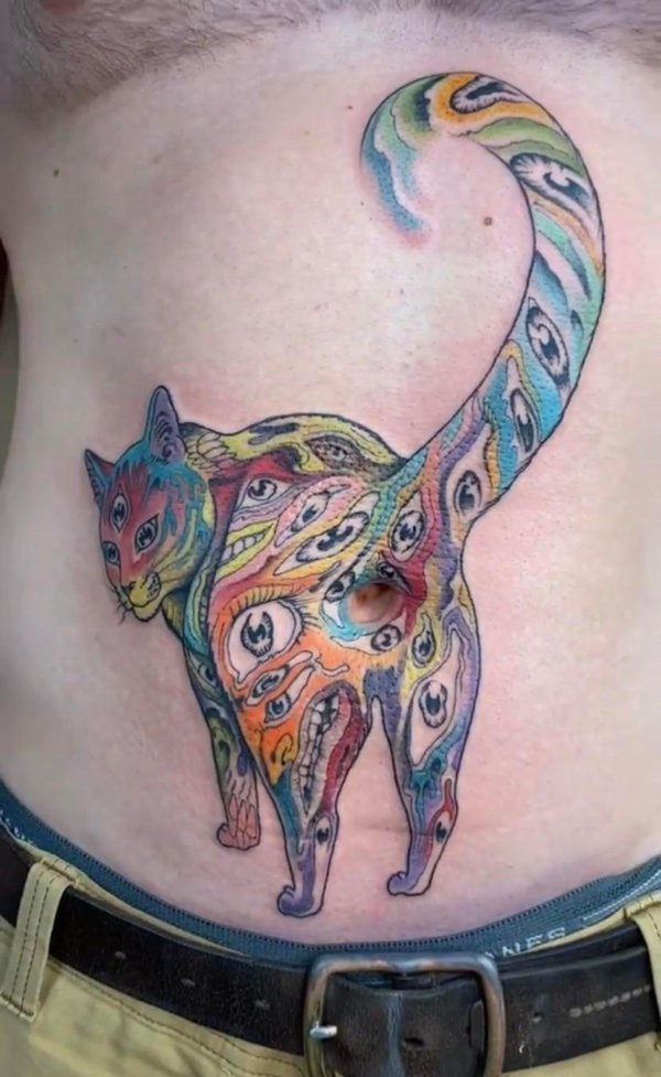 funny pictures - multicolor technicolor trippy funny cat butthole tattoo bellybutton