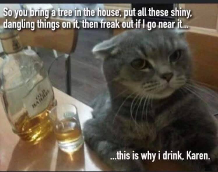 karen and cat memes - So you bring a tree in the house, put all these shiny. dangling things on it, then freak out if I go near it. ..this is why i drink, Karen.
