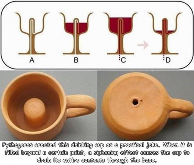 pythagorean cup meme - Hi T 1 . B ic D D Pythagoras created this drinking cup as a practical joke. When it is filled beyond a certain point, a siphoning effect causes the cup to drain its entire contents through the base.