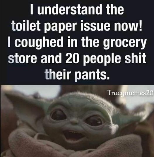 photo caption - I understand the toilet paper issue now! I coughed in the grocery store and 20 people shit their pants. Tracymemes20