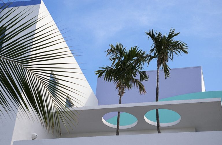 miami art deco palm tree - >