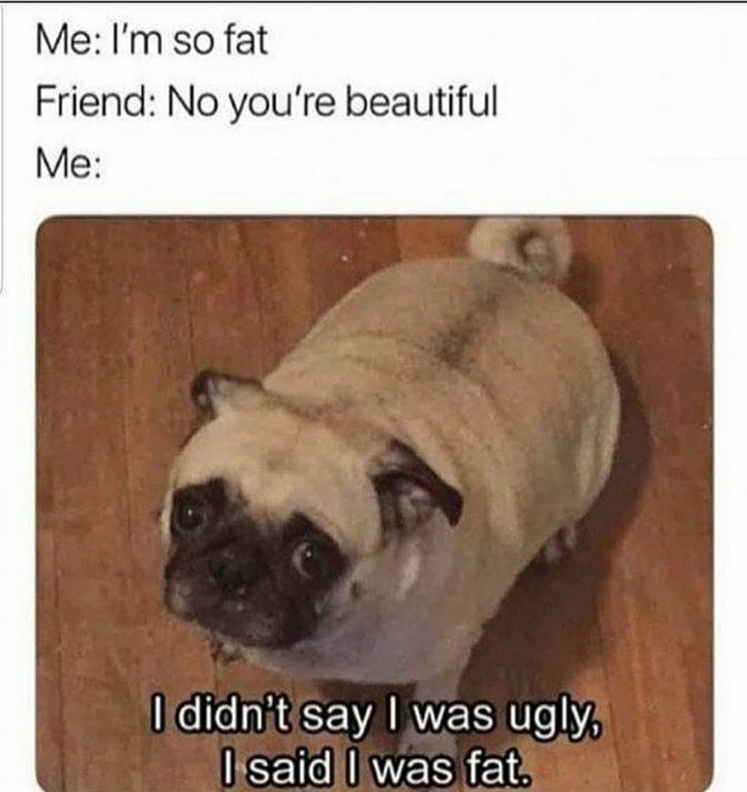 you re beautiful meme - Me I'm so fat Friend No you're beautiful Me I didn't say I was ugly I said I was fat.