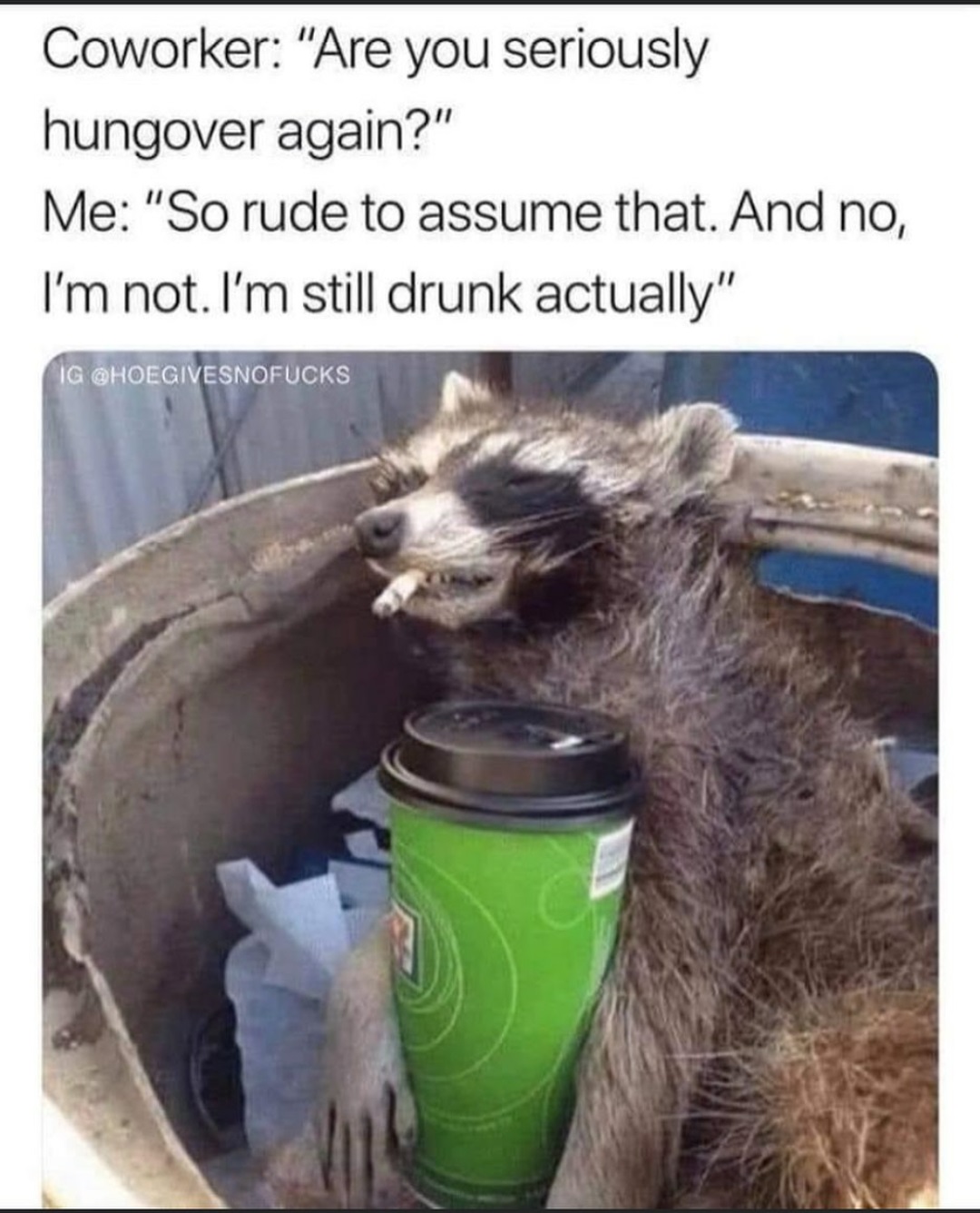 hungover racoon meme - Coworker "Are you seriously hungover again?" Me "So rude to assume that. And no, I'm not. I'm still drunk actually" Ig