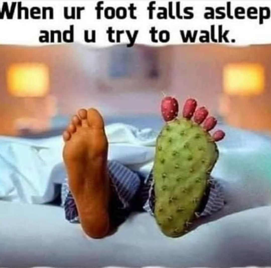 gout foot - When ur foot falls asleep and u try to walk.