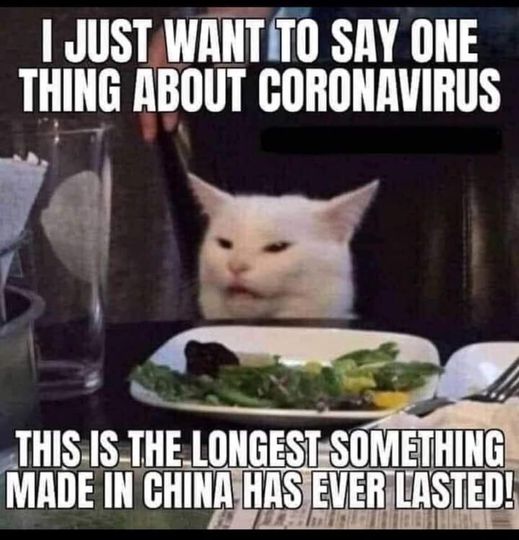 cat meme coronavirus - I Just Want To Say One Thing About Coronavirus This Is The Longest Something Made In China Has Ever Lasted!