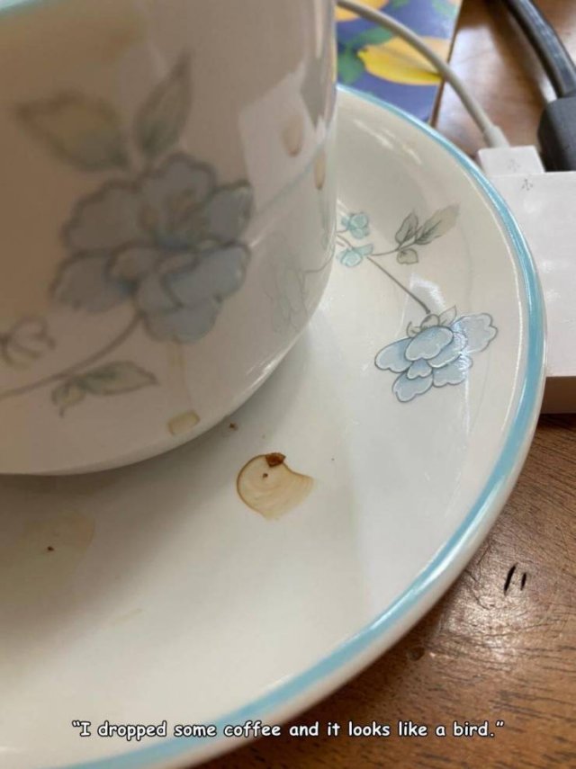 porcelain - "I dropped some coffee and it looks a bird."